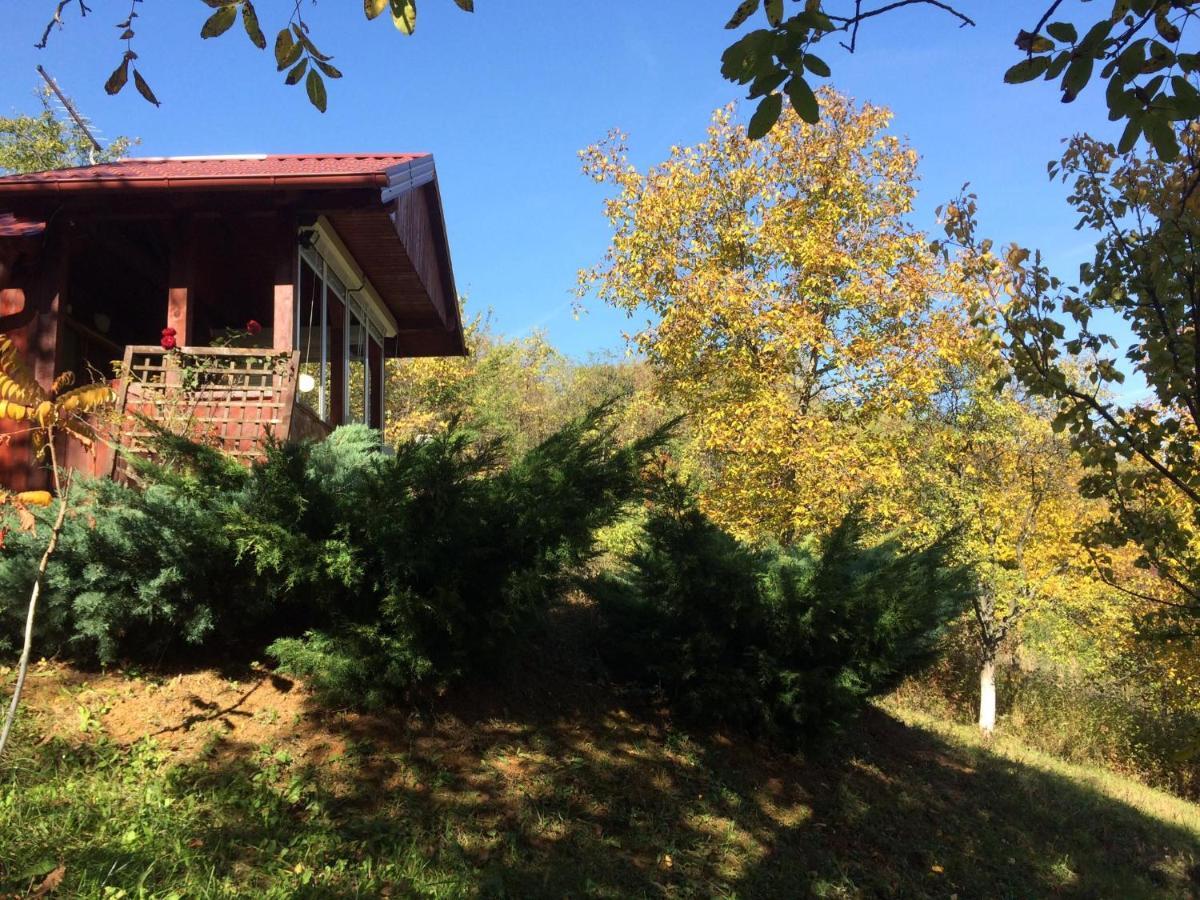 Holiday Home Nanin Konak 2 เวิร์ดนิค ภายนอก รูปภาพ