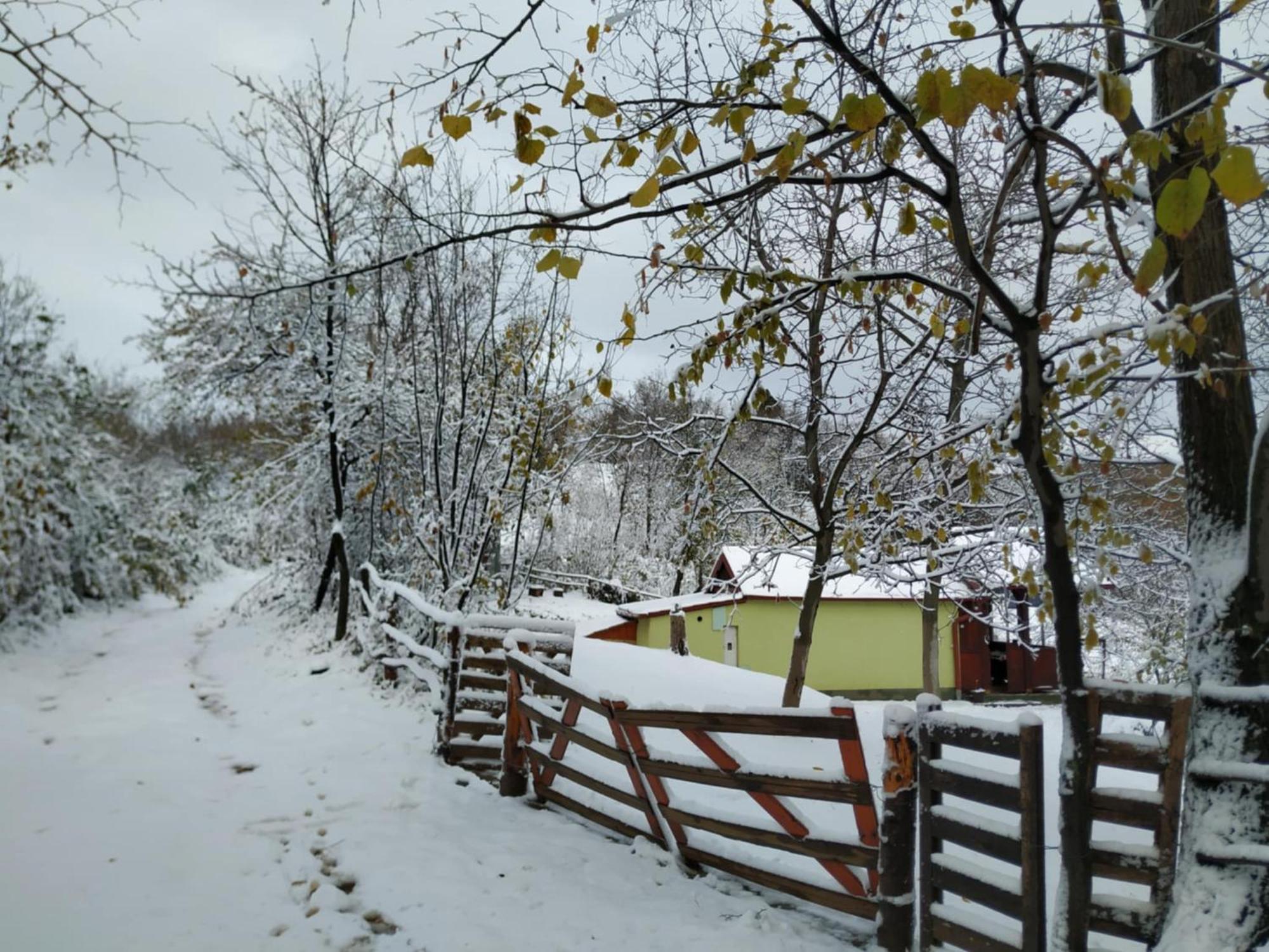 Holiday Home Nanin Konak 2 เวิร์ดนิค ภายนอก รูปภาพ